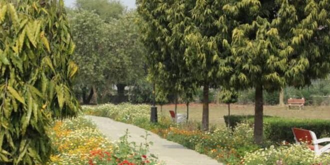 दिल्ली-के-जापानी-पार्क-में-पेड़-से-लटकी-मिली-नाबालिग-की-लाश,-रहस्य-बना-मौत-का-कारण