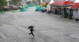 हिमाचल-के-चंबा-में-भारी-बारिश-का-कहर,-60-भेड़-बकरियाें-के-साथ-नाले-में-बहा-भेड़पालक-बुजुर्ग,-मौत
